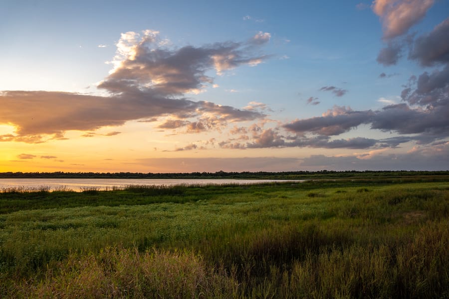 Myakka River State Park