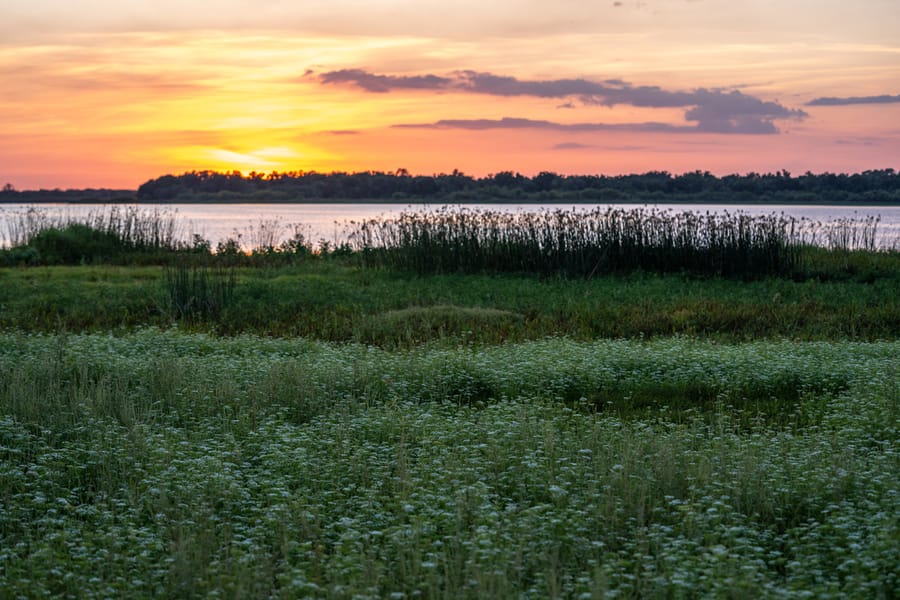 Myakka River State Park