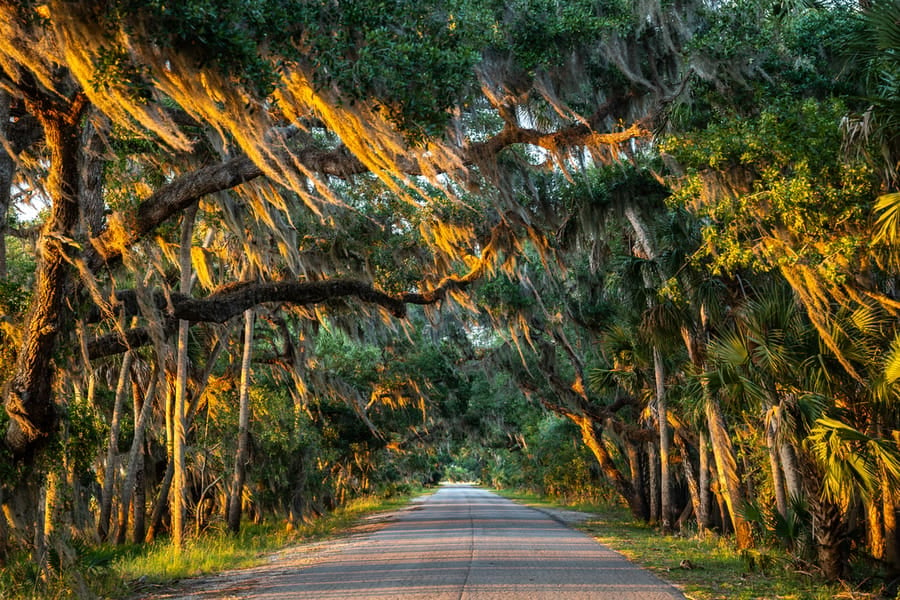 Myakka River State Park