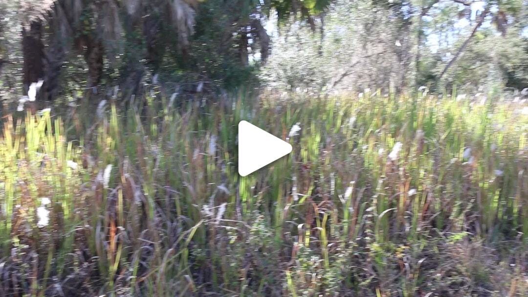 Natural_Resources_Nature (2)