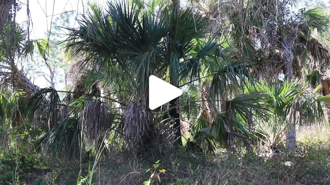 Natural_Resources_Nature_1 (2)