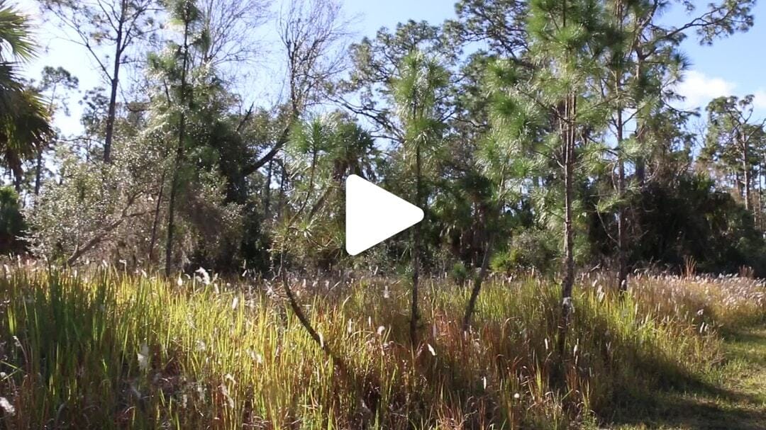 Natural_Resources_Nature (7)