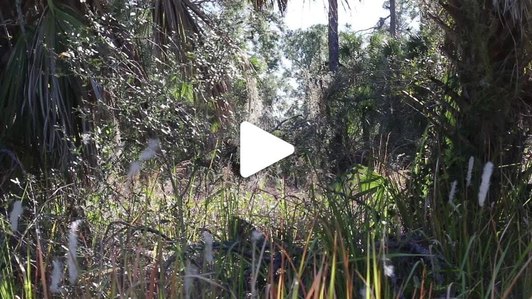 Natural_Resources_Nature (4)