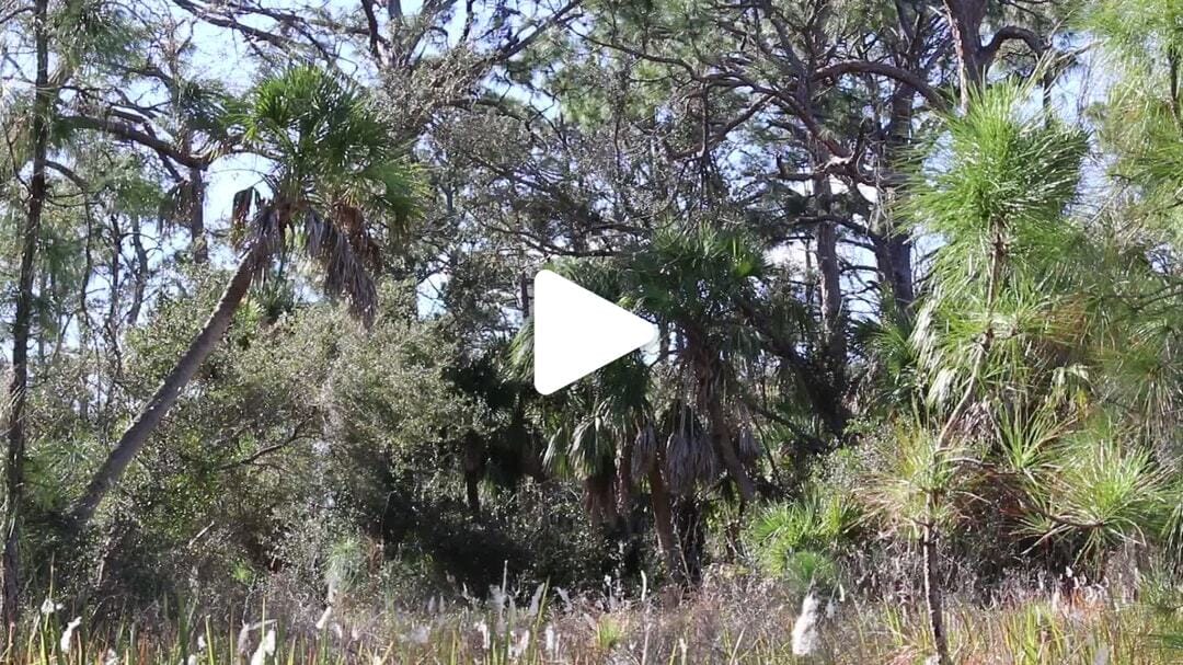 Natural_Resources_Nature (5)