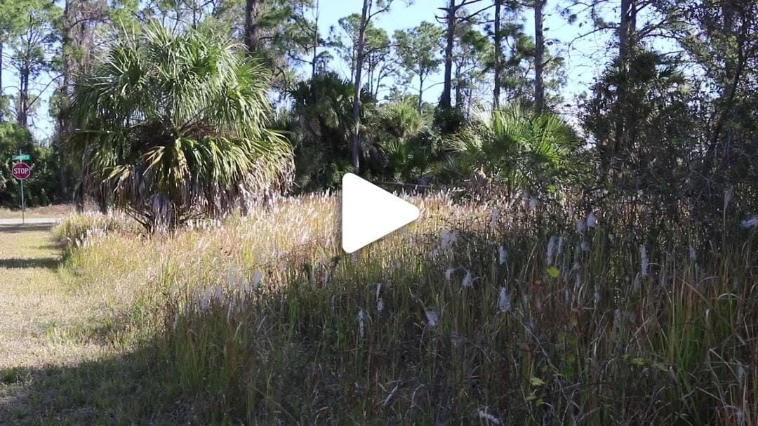 Natural_Resources_Nature (3)