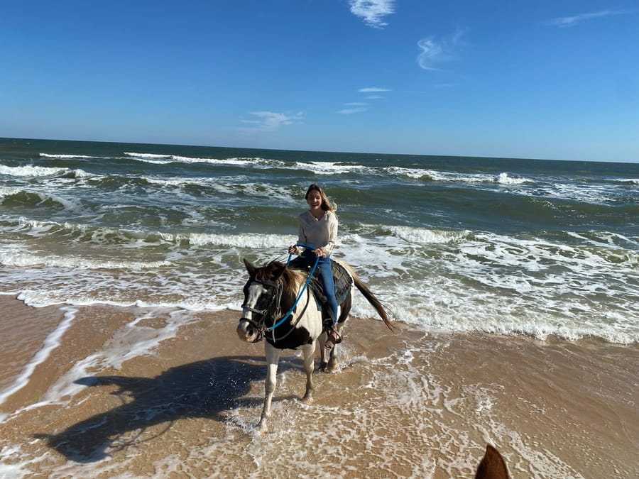 Equestrian Adventures - Waves 3