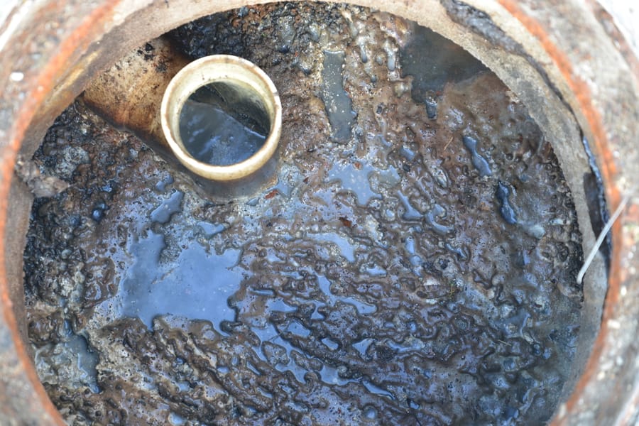 20191029_HotSpotCleaning_404_SD