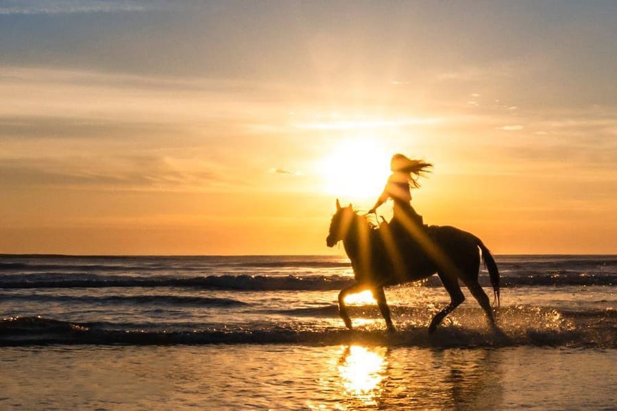 Credit - Floridas Birding & Photo Fest - sunrise rider