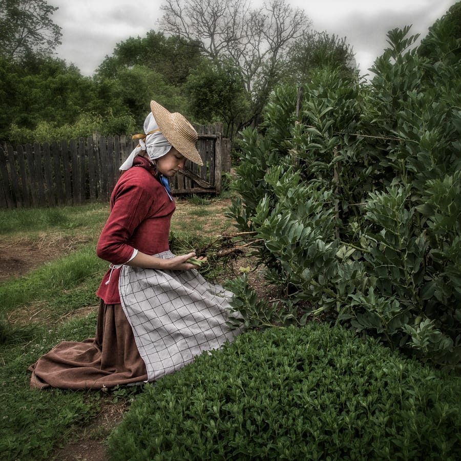 Old Salem Museums & Gardens