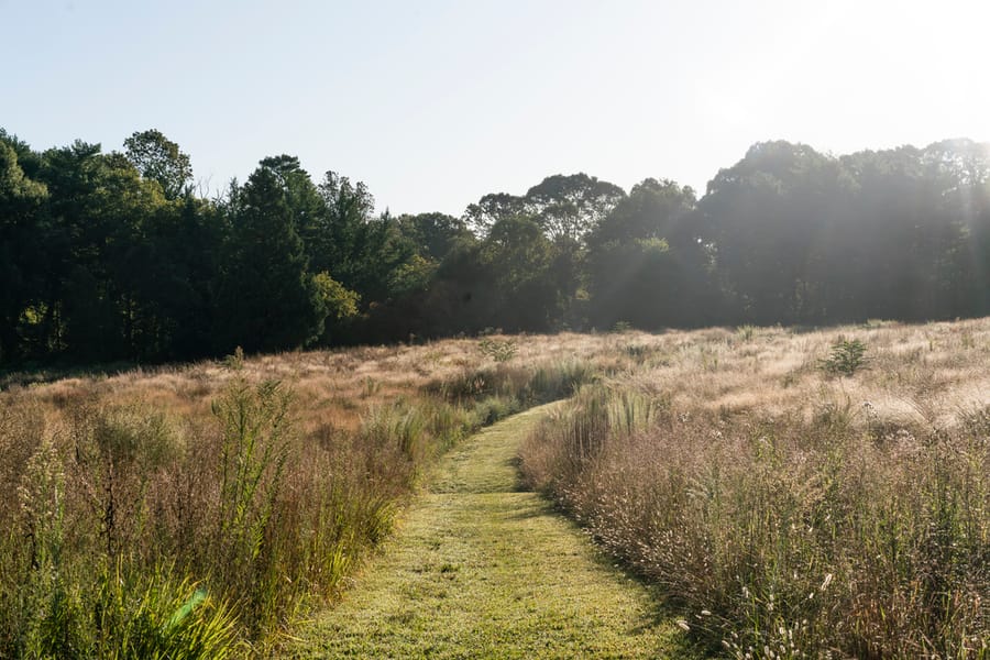 Reynolda Gardens - walking trails