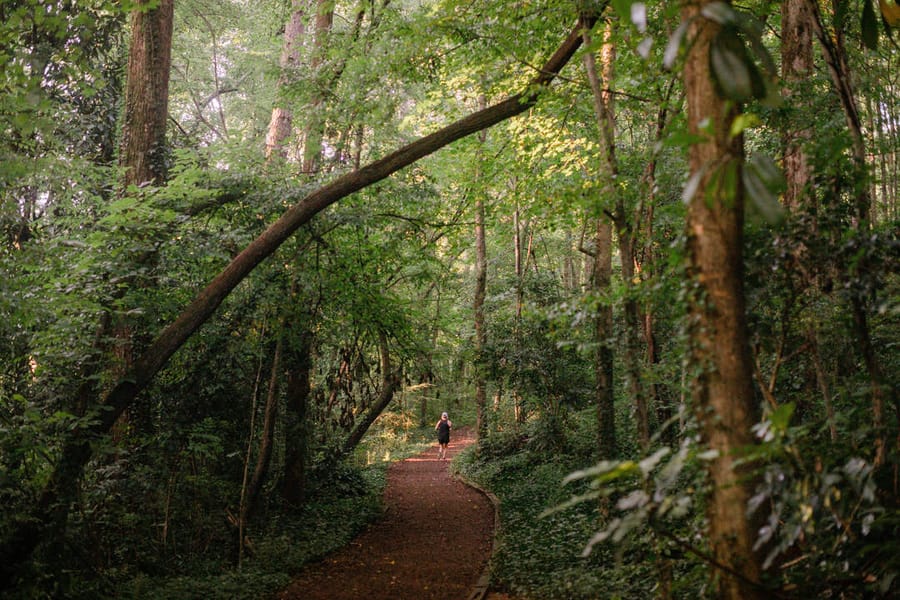 Reynolda Gardens - walking trails