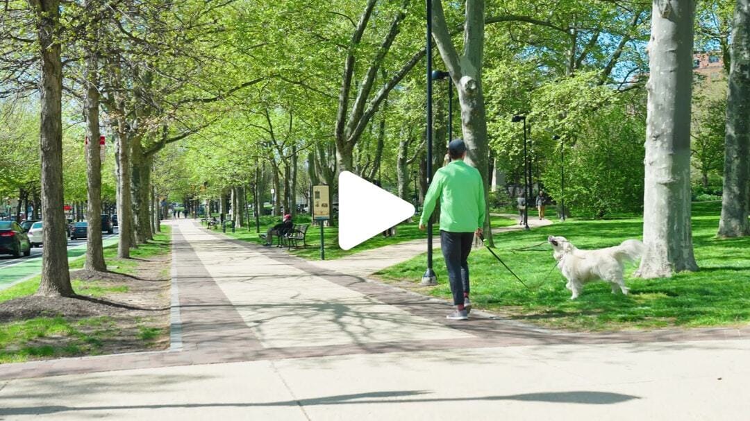 Ben Franklin Parkway