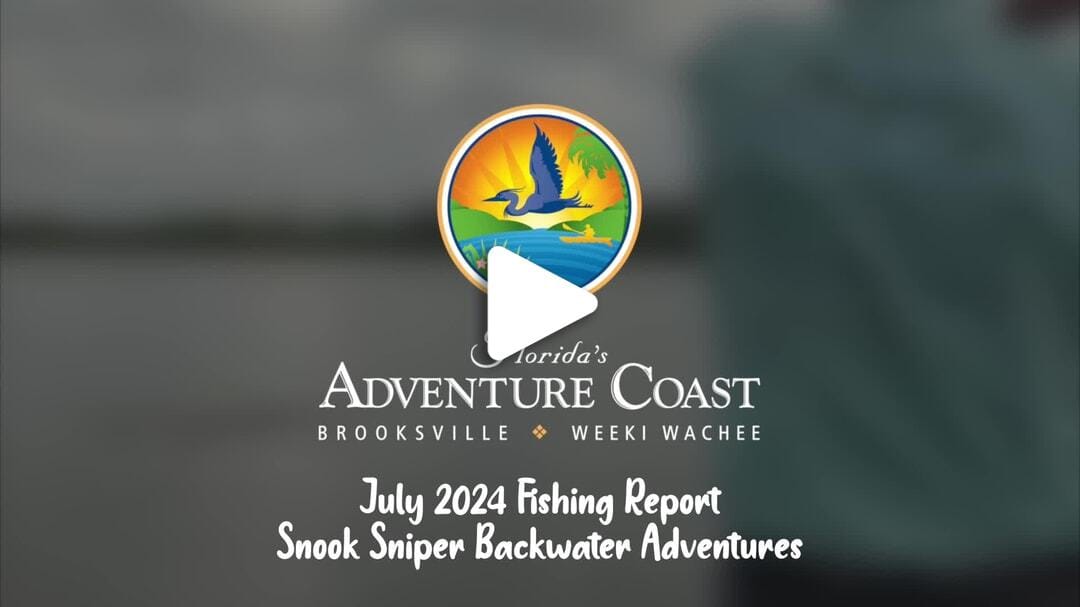 July 2024 Fishing Report