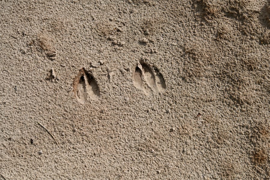 20240708_LandFillDigging_037_SD