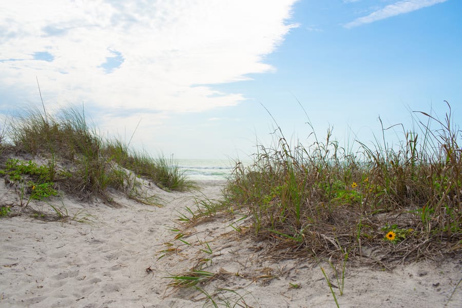 Longboat Key - Ground 02 - 2024 (Calliope)