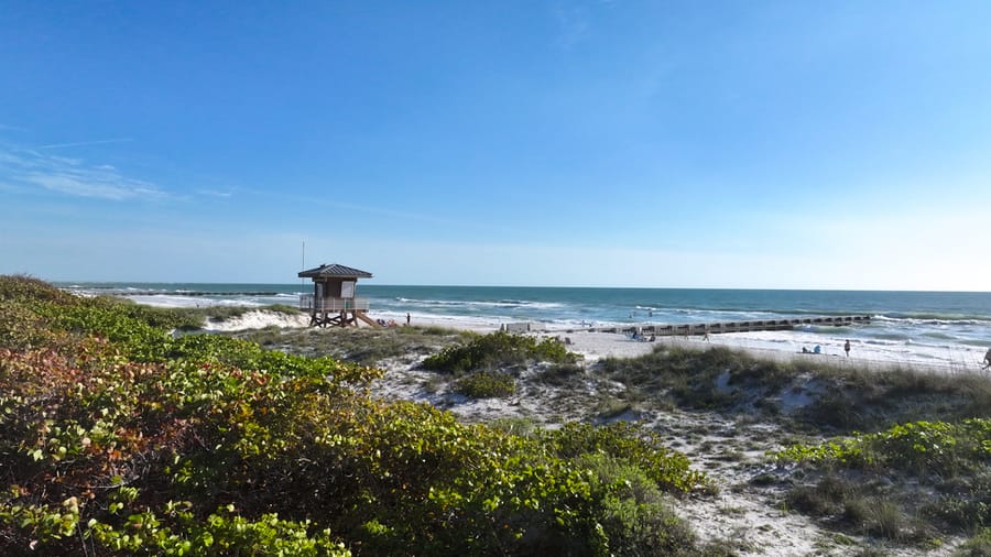 Bradenton - Cortez Beach - Ground 02 - 2024 (Calliope)