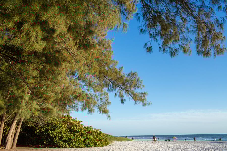 Anna Maria island- Anna Maria Beach- Ground 04- 2023 (Calliope)