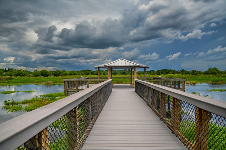 20240712_Sky-CeleryFields_193_SD