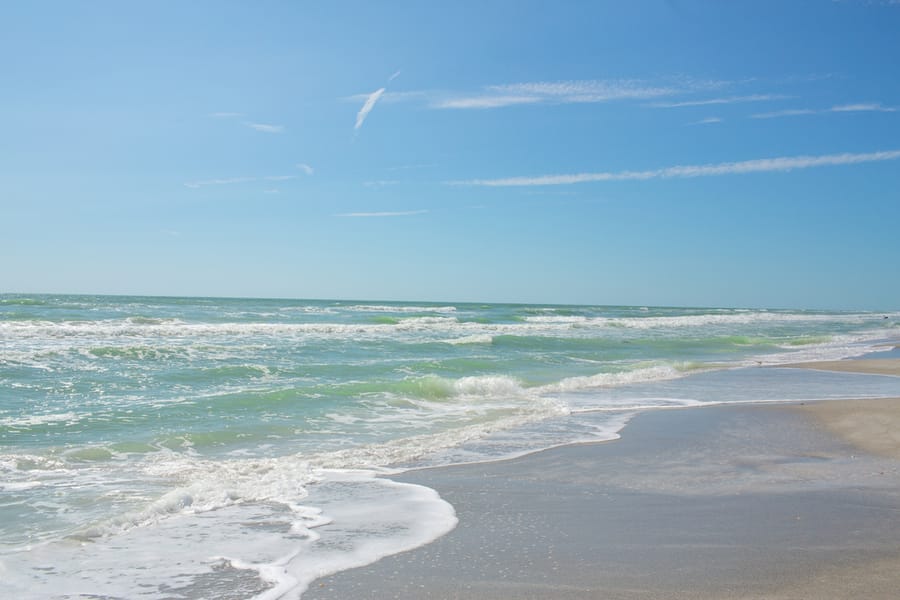 Longboat Key - Ground 03 - 2024 (Calliope)