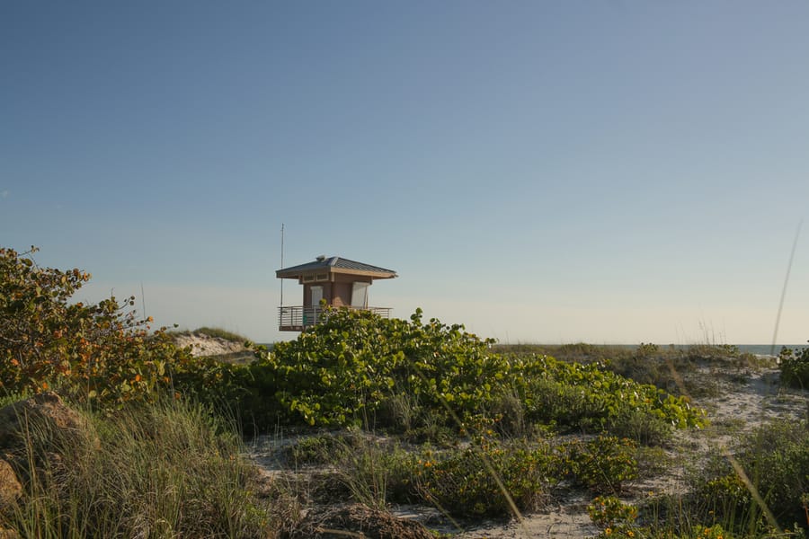 Bradenton - Cortez Beach - Ground 04 - 2024 (Calliope)