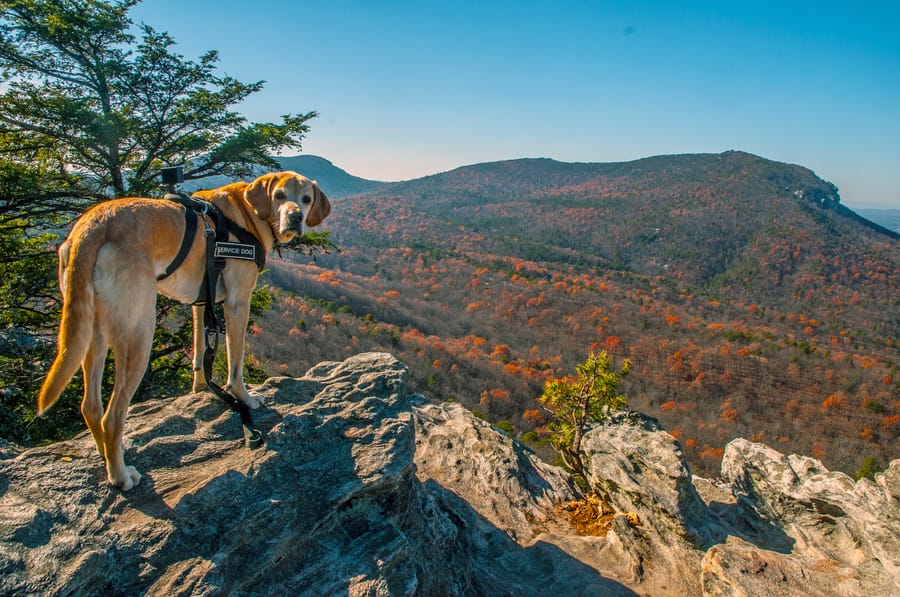 20240724_ Hanging Rock State Park