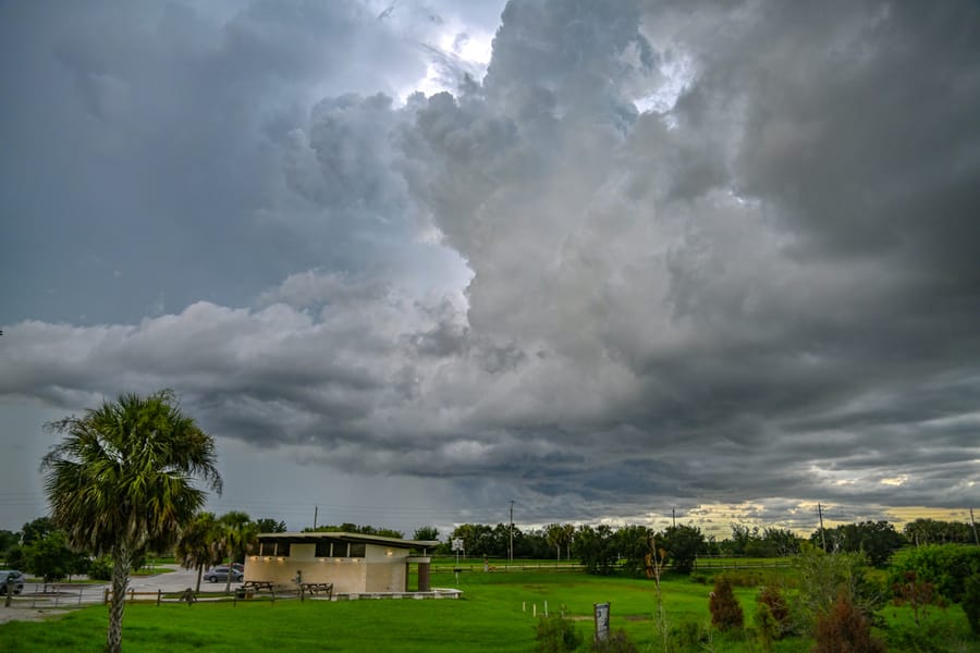 20240730_CeleryFields_1444