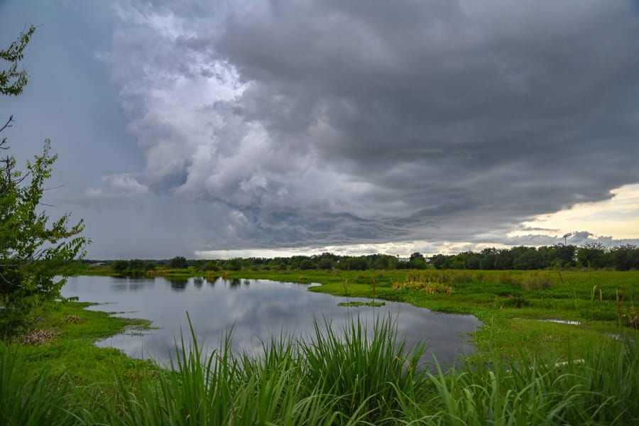 20240730_CeleryFields_1486