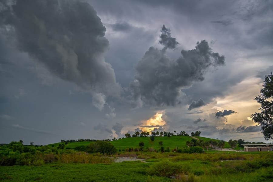 20240730_CeleryFields_1521