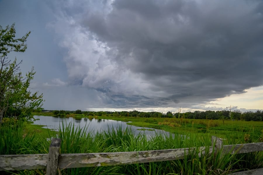 20240730_CeleryFields_1506