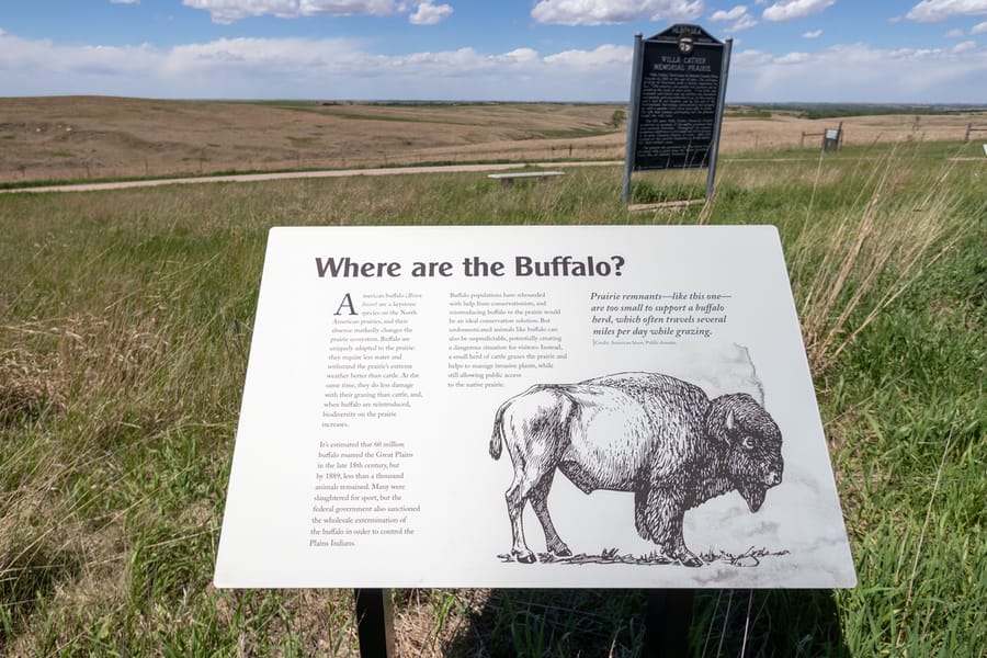 Willa Cather Memorial Prairie