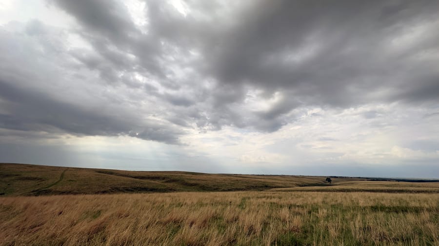 Willa Cather Memorial Prairie