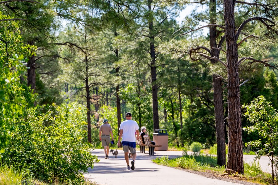 Pinetop - Woodland Lake Park_credit An Pham (6)