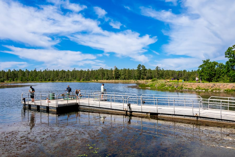 Pinetop - Woodland Lake Park_credit An Pham