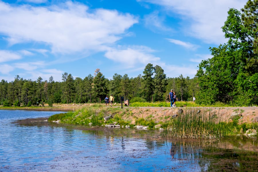 Pinetop - Woodland Lake Park_credit An Pham (4)