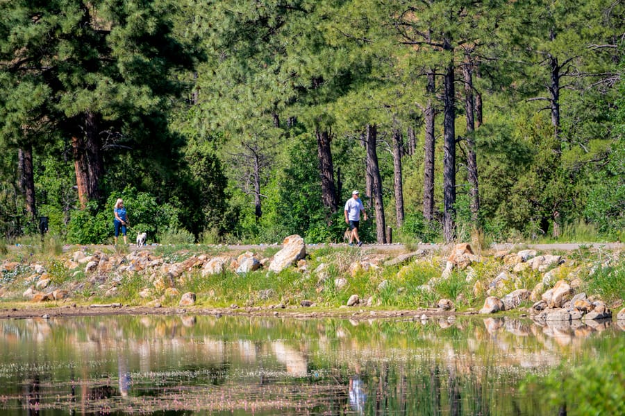 Pinetop - Woodland Lake Park_credit An Pham