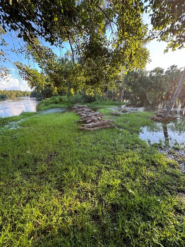 SnookHaven8 a.m.FridayAug9_07