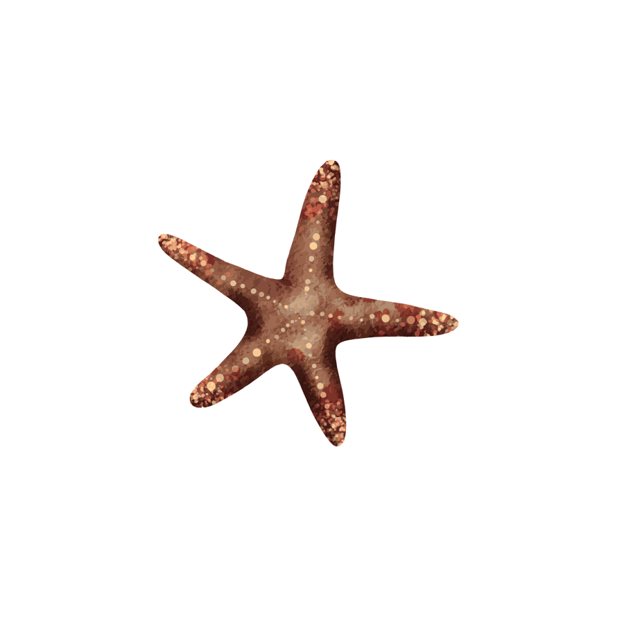 starfish