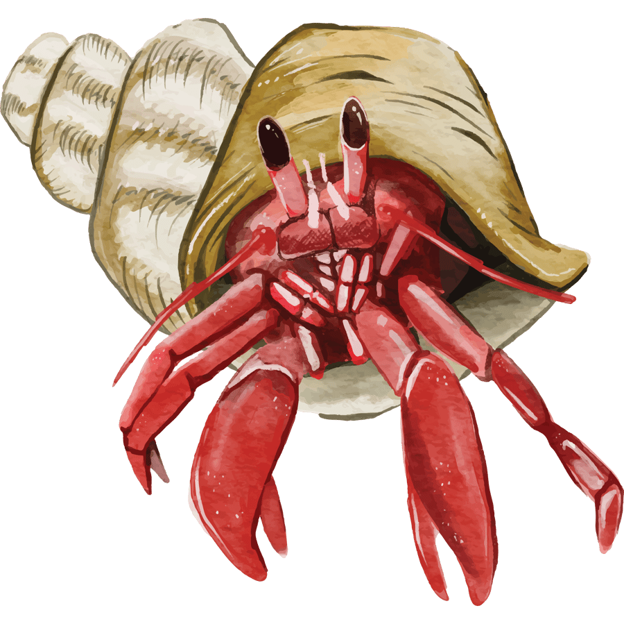 HermitCrab