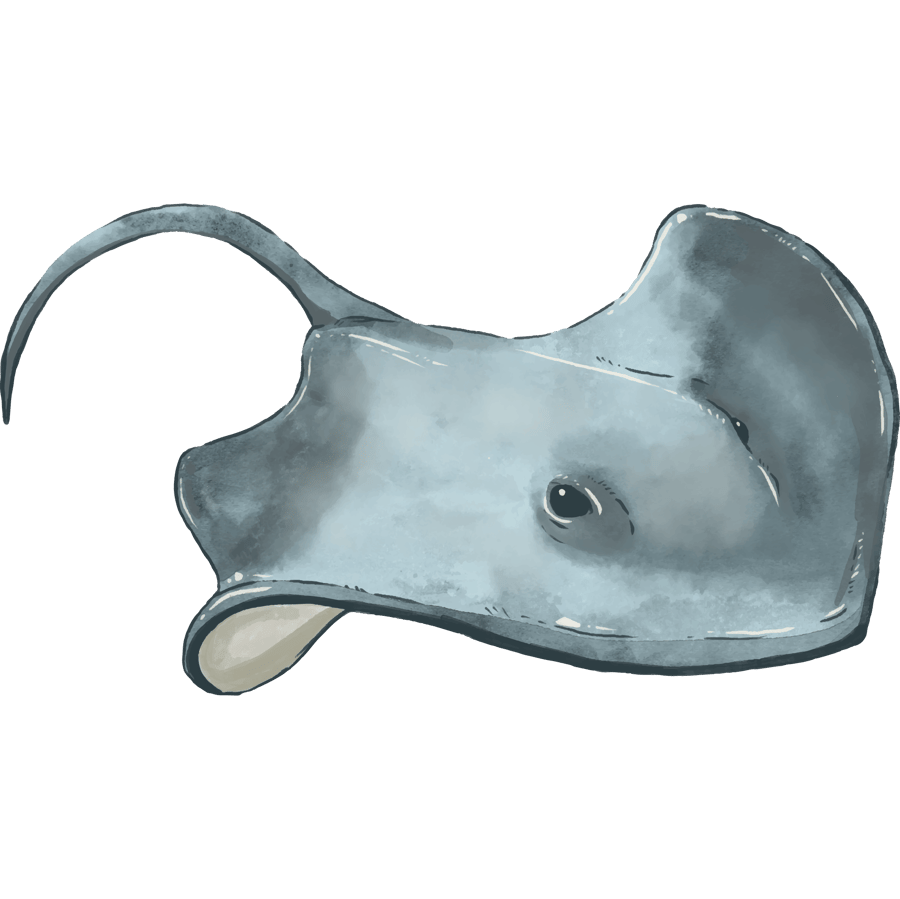 Stingray