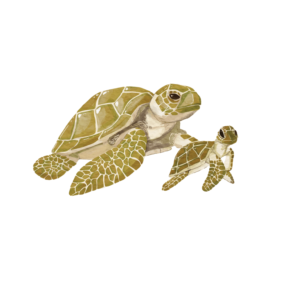 Bradenton_SeaTurtles_Masked_CMYK