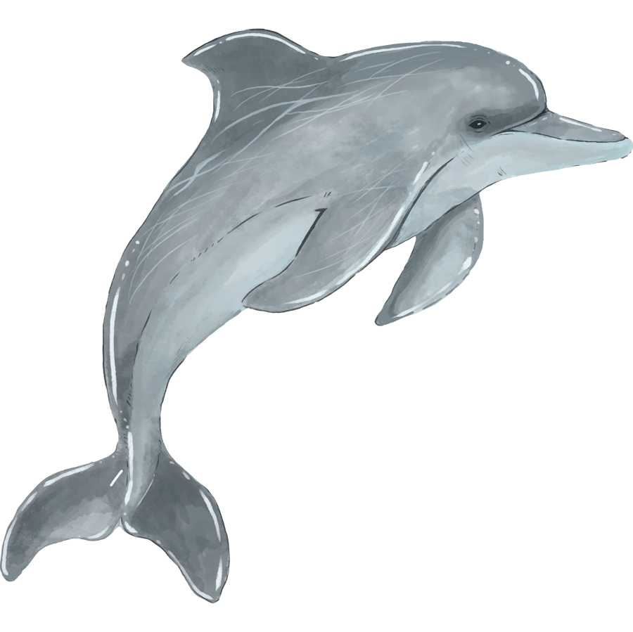 Bottlenose