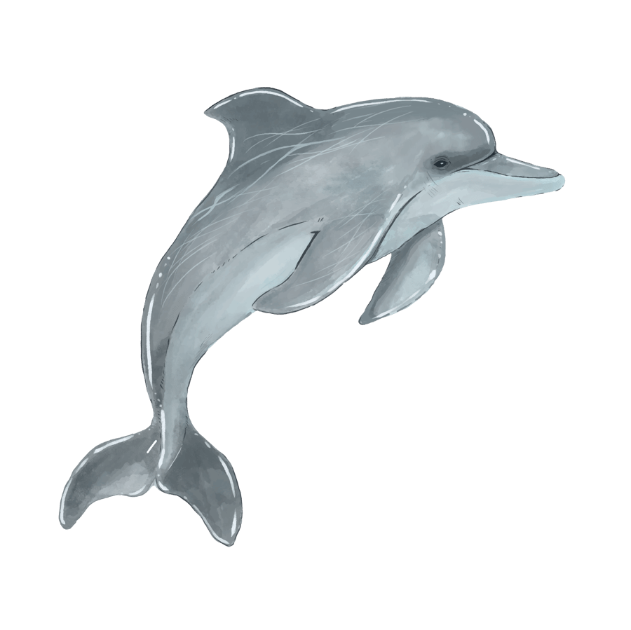 Bottlenose