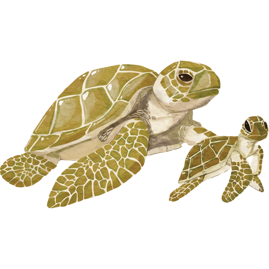 Bradenton_SeaTurtles_Masked_CMYK