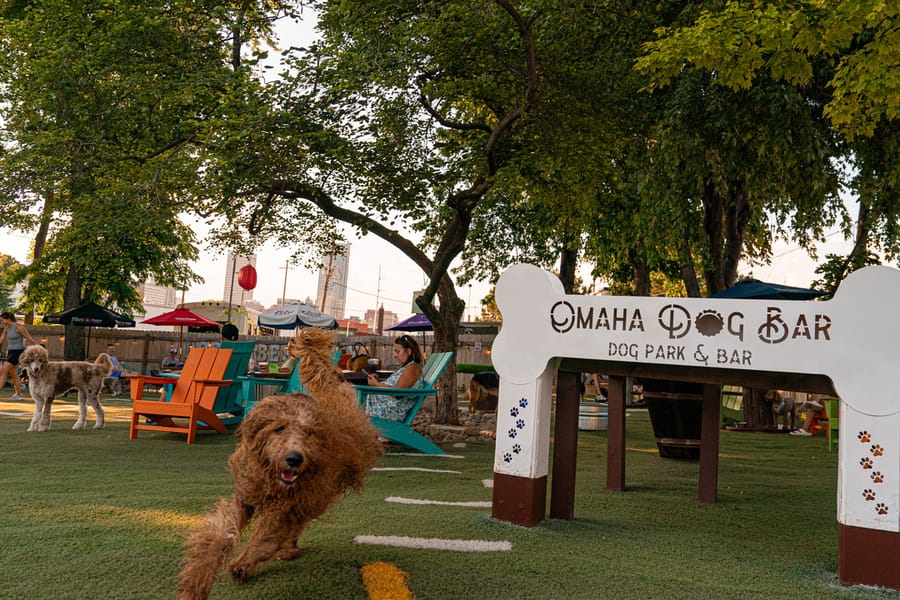 Omaha Dog Bar