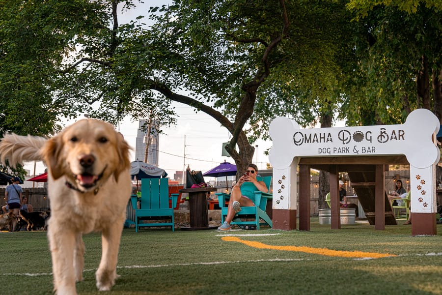 Omaha Dog Bar