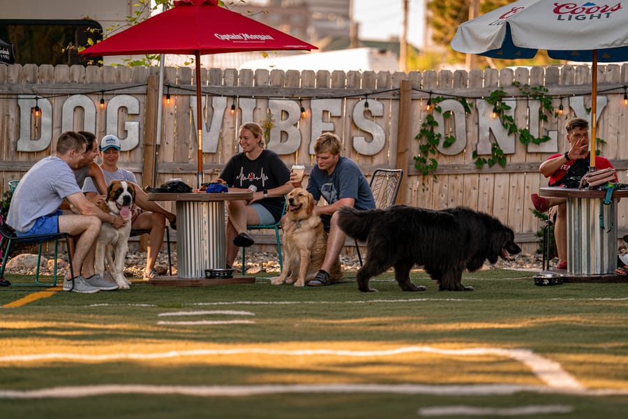 Omaha Dog Bar