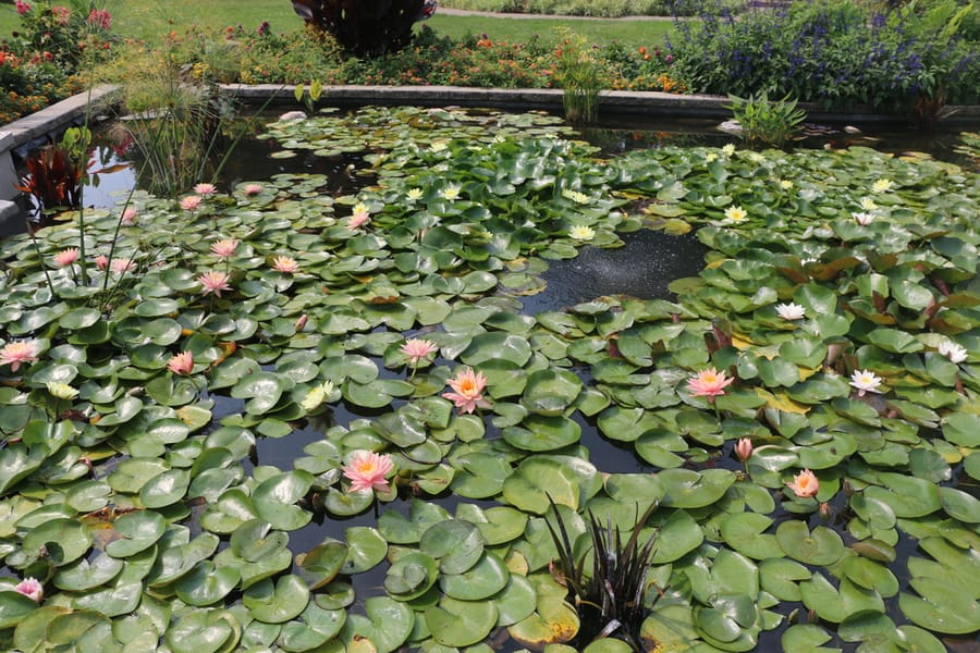 Sunken Gardens