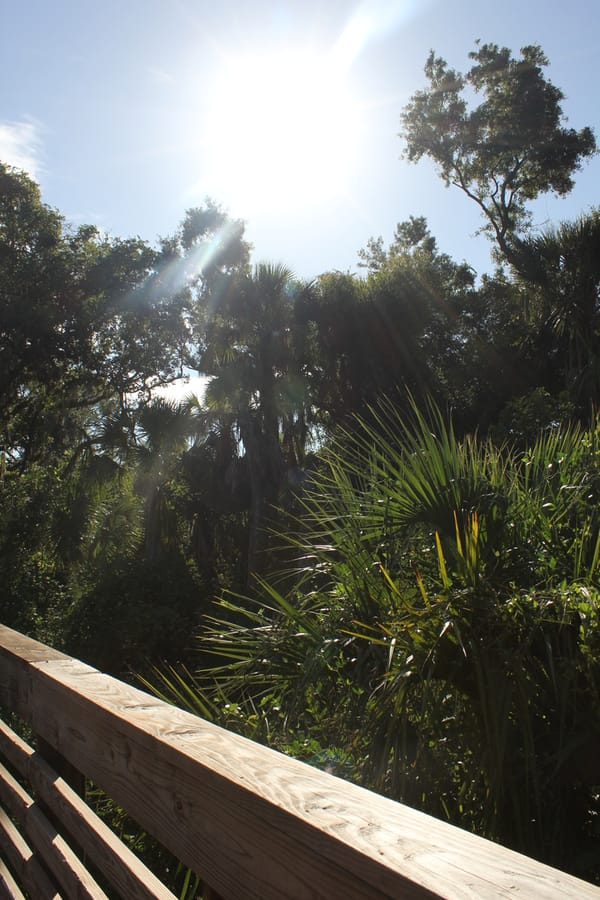 Myakkahatchee_Creek_Greenway_Nature Trail_072424 (1)