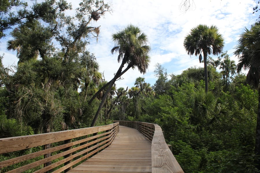 Myakkahatchee_Creek_Greenway_Nature Trail_072424 (3)