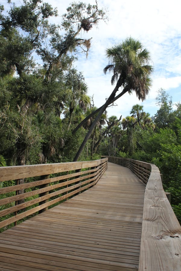 Myakkahatchee_Creek_Greenway_Nature Trail_072424 (2)